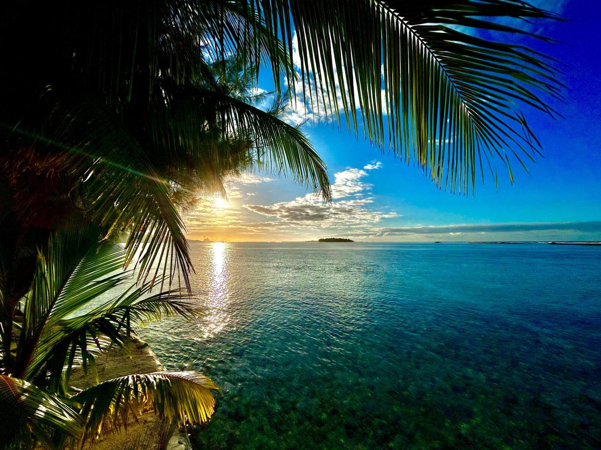 Hotel Eden Private Island Tahaa Patio  Exterior foto